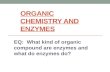 ORGANIC CHEMISTRY AND ENZYMES EQ: What kind of organic compound are enzymes and what do enzymes do?