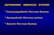 AUTONOMIC NERVOUS SYSTEM Parasympathetic Nervous System Sympathetic Nervous system Enteric Nervous System.