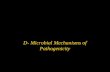 D- Microbial Mechanisms of Pathogenicity. Pathogenicity - ability to cause disease Virulence - degree of pathogenicity w Many properties that determine.