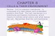 CHAPTER 8 CELLS & THEIR ENVIRONMENT Review: Cell (or plasma) membrane – is composed of a lipid bilayer with embedded proteins that float. The cell membrane.