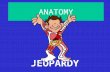 ANATOMY JEOPARDY ScientistsBacteriaVirusImmunology Cell Division 100 200 300 400 500.