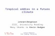 R. Met. Soc. 15. March 2006 Lennart Bengtsson ESSC, Reading, University Tropical eddies in a future climate Lennart Bengtsson ESSC, University Reading.