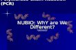 Polymerase Chain Reaction (PCR) NUBIO: WhY are We Different? By: Kabi Neupane, Ph.D. Edited by: Leah Spee.