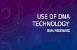 USE OF DNA TECHNOLOGY: DNA PROFILING. USES OF DNA TECHNOLOGY DNA Profiling Parentage Testing Genealogy Genetic Screening Genetically Modified Organisms.