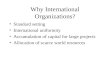 Why International Organizations? Standard setting International uniformity Accumulation of capital for large projects Allocation of scarce world resources.