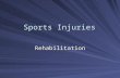Sports Injuries Rehabilitation. A Progressive Model for Rehabilitation Adapted, by permission, from J. Hertel and C.R. Denegar, 1998, “A rehabilitation.