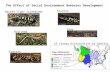 The Effect of Social Environment Behavior Development Blotched Gray Arizona Eastern Barred Tiger Salamander US Canada Distribution by Species.