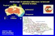 Temperate Tropical Subtropical 1000km Aussie crops: & individual differences in bees and plasticity to adapt. Adrian G. Dyer RMIT University & Monash University.