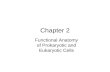 Chapter 2 Functional Anatomy of Prokaryotic and Eukaryotic Cells.