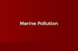 Marine Pollution. Human Effects on the Marine Environment Alteration of bottom by dredging; shoreline alteration and filling Alteration of bottom by dredging;