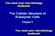 The Cellular Structure of Eukaryotic Cells Chapter 5 You need your microbiology textbook!