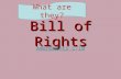 Bill of Rights Amendments 1-10 What are they?. George Mason "It has no declaration of rights," That all Freemen have certain essential inherent Rights,