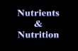 Nutrients Chemicals the body needs in order to function.