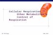 AP Biology 2006-2007 Cellular Respiration Other Metabolites & Control of Respiration.