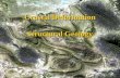 Crustal Deformation Structural Geology. Structural Geology +Tectonic collision deforms crustal rocks producing geologic structures. ! Folds ! Faults !