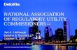 NATIONAL ASSOCIATION OF REGULATORY UTILITY COMMISSIONERS Jan A. Umbaugh Deloitte & Touche LLP October 8, 2007.