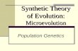 Synthetic Theory of Evolution: Microevolution Population Genetics.