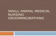 SMALL ANIMAL MEDICAL NURSING GROOMING/BATHING.  Grooming and medicated bathing are recommended for the treatment and prevention of many dermatologic.