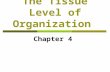 The Tissue Level of Organization Chapter 4. Tissues of the Body: An Introduction  Tissues  Histology.
