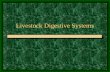 Livestock Digestive Systems Ruminant Digestive System Objectives: –Know the four parts of the ruminant stomach. –Know examples of animals that have a.