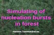 Simulating of nucleation bursts in forest Hannes.Tammet@ut.ee.