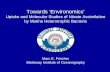 Towards ‘Environomics’ Uptake and Molecular Studies of Nitrate Assimilation by Marine Heterotrophic Bacteria Marc E. Frischer Skidaway Institute of Oceanography.