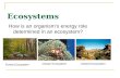 Ecosystems Forest Ecosystem Ocean EcosystemDesert Ecosystem How is an organism’s energy role determined in an ecosystem?