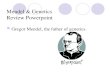 Mendel & Genetics Review Powerpoint Gregor Mendel, the father of genetics.