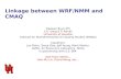 Linkage between WRF/NMM and CMAQ Daewon Byun (PI) C.K. Song & P. Percell University of Houston Institute for Multidimensional Air Quality Studies (IMAQS)