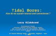 Tidal Bores: How do we sustain interest and commitment ? Larry Hildebrand Environment Canada Atlantic Coastal Action Program (ACAP) Bay of Fundy Ecosystem.