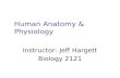 Human Anatomy & Physiology Instructor: Jeff Hargett Biology 2121.