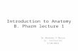 Introduction to Anatomy B. Pharm lecture 1 Dr Abubakr H Mossa Sr. Instructor 2/10/2012.