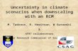 Uncertainty in climate scenarios when downscaling with an RCM M. Tadross, B. Hewitson, W Gutowski & AF07 collaborators Water Research Commission of South.
