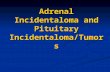 Adrenal Incidentaloma and Pituitary Incidentaloma/Tumors.