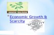 * Economic Growth & Scarcity. Economics for Leaders Human prosperity and social cooperation develop spontaneously in societies that protect private property.