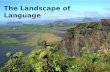 The Landscape of Language. Why THAT word? Why THAT choice?
