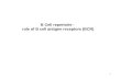 1 B Cell repertoire - role of B cell antigen receptors (BCR)