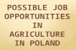 SOME FACTS ABOUT OUR COUNTRY: a country in Central Europe the total area of Poland: 312,679 square kilometers agricultural land: 17, 2 mln ha population: