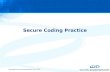 Copyright Security-Assessment.com 2005 Secure Coding Practice.
