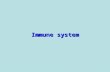 Immune system. The main functions of the immune system Defense Autotolerance Immune surveillance The main functions of the immune system Immune system.