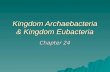 Kingdom Archaebacteria & Kingdom Eubacteria Chapter 24.