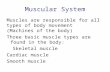 Muscular System Muscles are responsible for all types of body movement (Machines of the body) Three basic muscle types are found in the body: Skeletal.