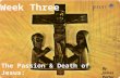 Week Three The Passion & Death of Jesus: Encountering Injustice By James Potter.