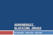 ADRENERGIC BLOCKING DRUGS Autonomic Nervous System.