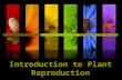 Introduction to Plant Reproduction. Introduction To Plant Reproduction  Sexual Reproduction  Asexual Reproduction  These processes occur in seed plants,