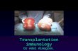 Transplantation immunology Dr Adel Almogren.. Transfusion vs. Transplantation  Transfusion  transfer of blood  Ab-mediated reactions  Transplantation.