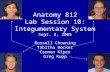Anatomy 812 Lab Session 10: Integumentary System Sept. 8, 2005 Russell Chowning Tabitha Hocker Carmen Kiper Greg Rupp.