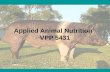 Applied Animal Nutrition VPP 5431. Introduction Terminology BOAR adult intact male.