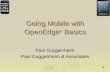 Going Mobile with OpenEdge ® Basics Paul Guggenheim Paul Guggenheim & Associates.