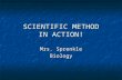 SCIENTIFIC METHOD IN ACTION! Mrs. Sprenkle Biology.